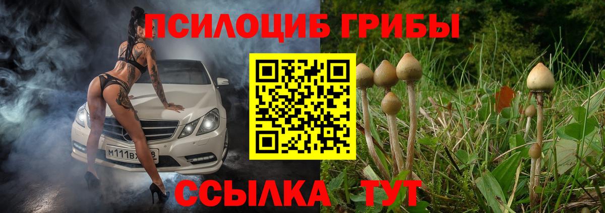 Псилоцибиновые грибы GOLDEN TEACHER  Псилоцибиновые грибы прущие грибы  Лесозаводск  Вход с VPN 